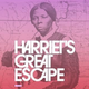 Harriet Tubman, freedom fighter supreme